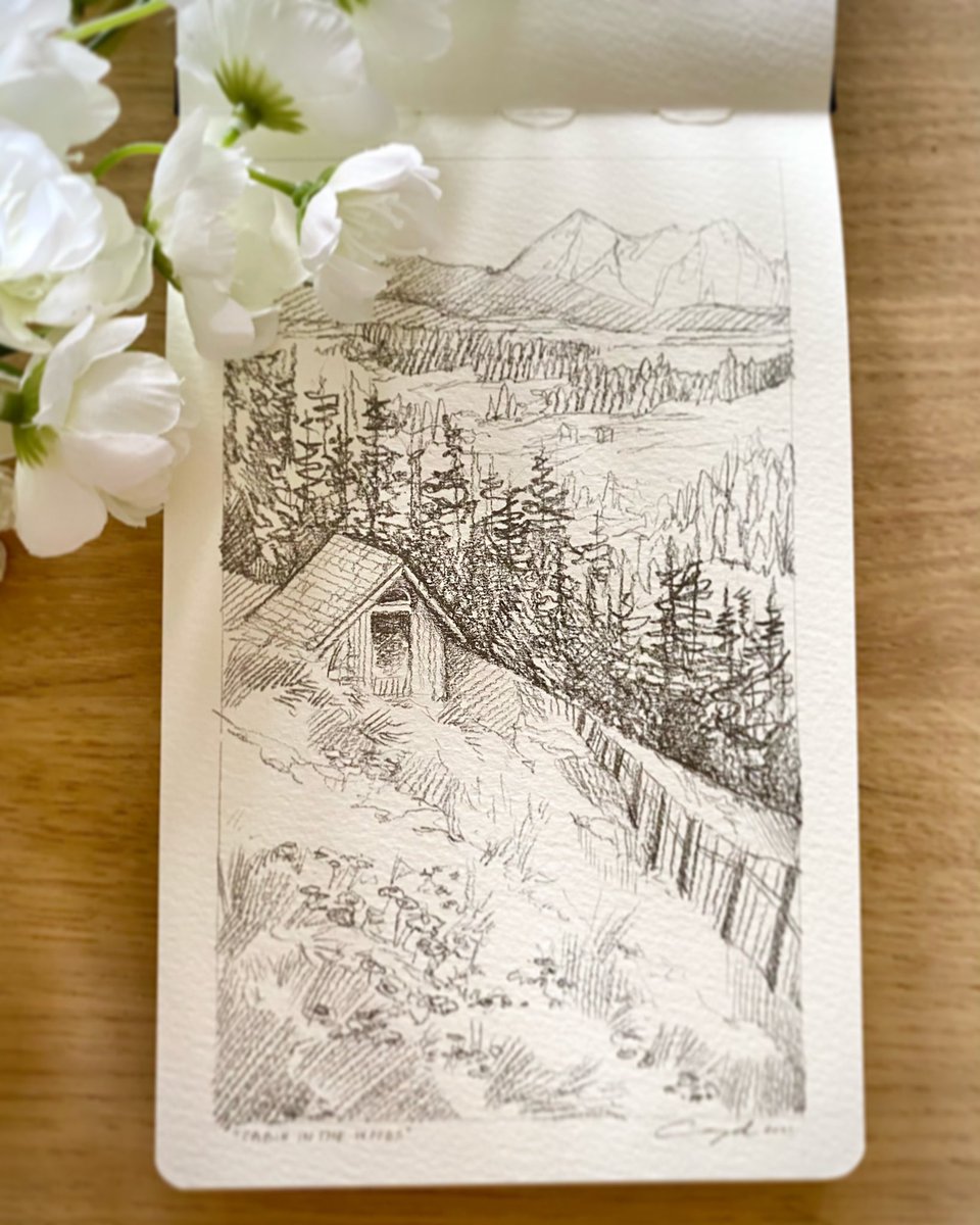 cassydraws's tweet photo. A cabin in the woods. https://t.co/9Q9BxC7V2P