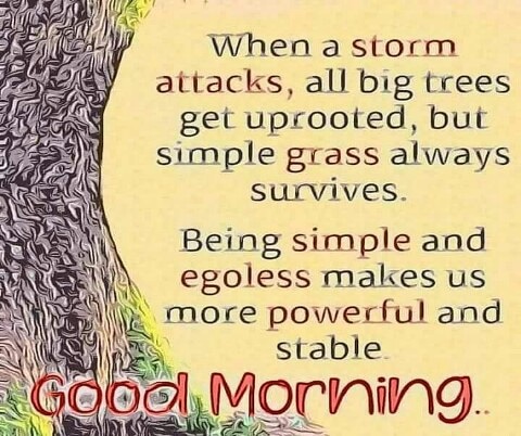 Beautiful Sunday everyone.❤️❤️❤️❤️