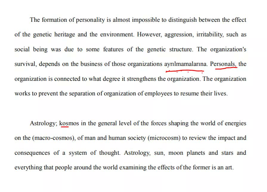 Merve Basdogan tweet media