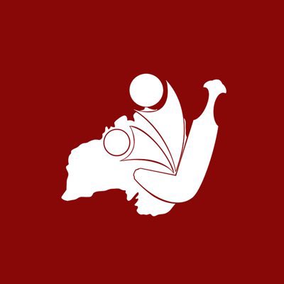 osssaus's tweet photo. #NewProfilePic 

#Palestine 
#Jerusalem
#Gaza
#فلسطين
#القدس
#غزة https://t.co/J0nFfVIGd9