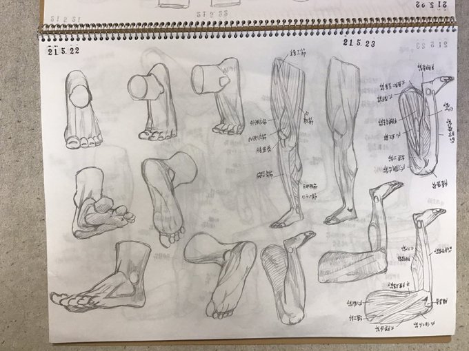 今日の #キムラッキ 3章の人体解剖学終了!ここまでで、内容的にも、ページ数的にも、本の半分です。そうだ!半分は超えた!残りは半分!!(ただし、2、3ヶ月かかる) 