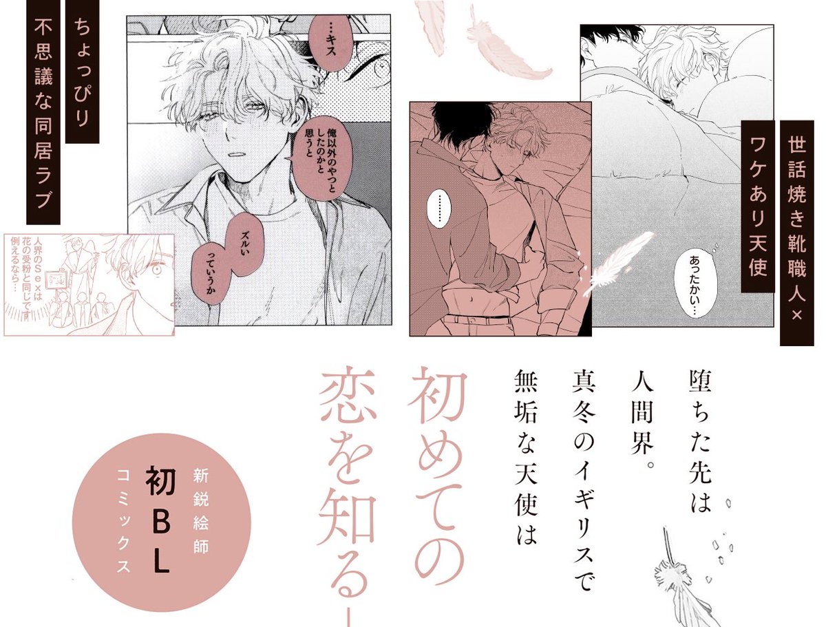 ビーボーイ編集部 書影公開 はだしの天使 野ノ宮いと先生 Nnmy Itp0 待望の初コミックス 攻 世話焼き靴職人 受 ワケあり元天使 6 10 On Sale T Co H7no6vasqv T Co