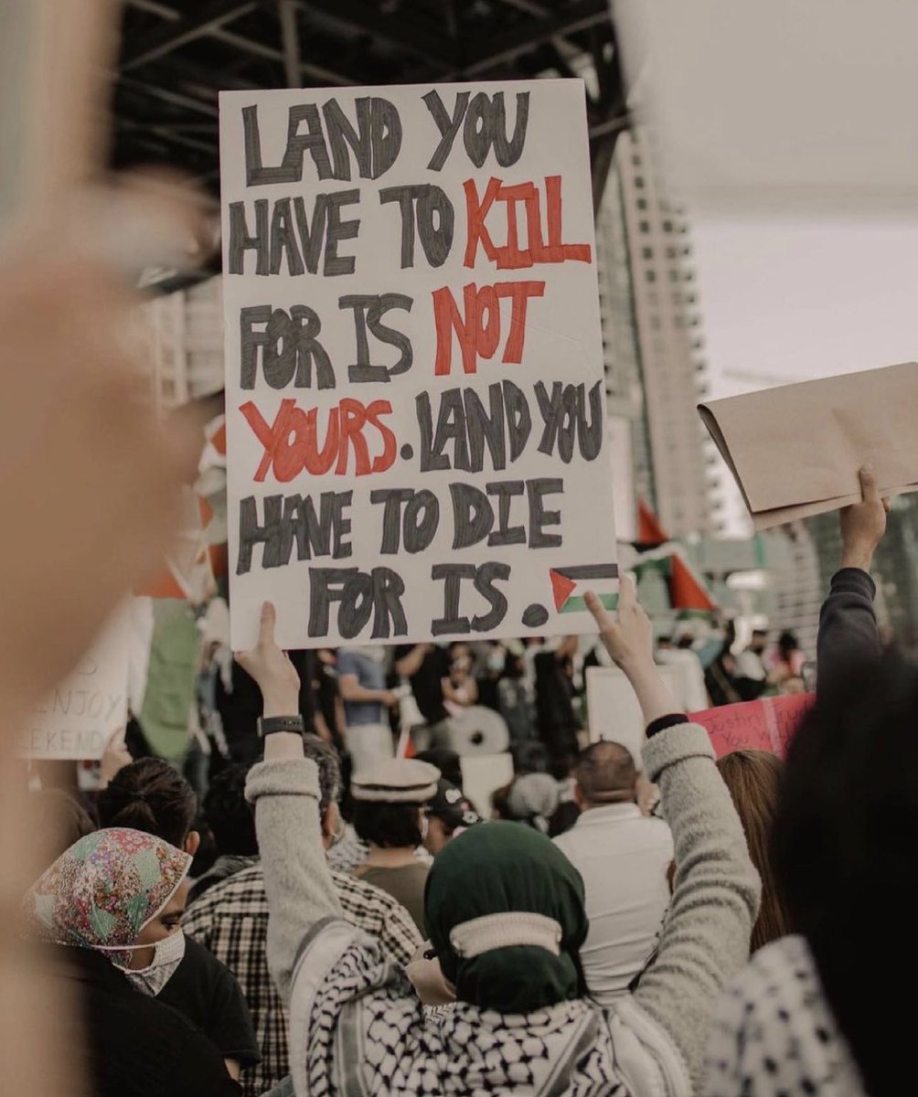 Umm Obaidah 𓂆 tweet media