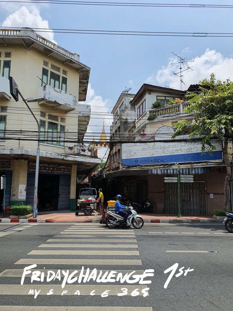 Myspace_365 tweet media