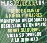 RamonValdezC's tweet photo. Caminar por la vida, la salud y la dignidad de las niñas y las mujeres dominicanas, que el Estado no las obligue a escoger entre la cárcel o su vida. https://t.co/J19SwSSb5O