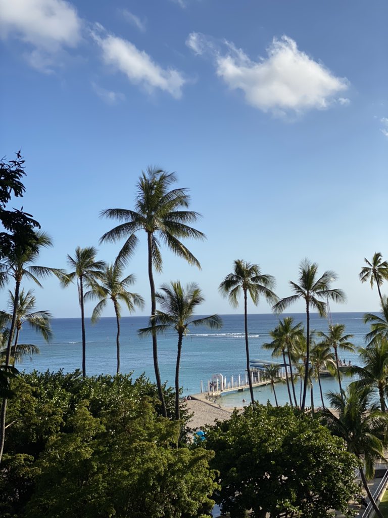 Hawaii vibes ✌🏼🧉🌺 I love it here #hawaii #TRAVELAGAIN #beachlife