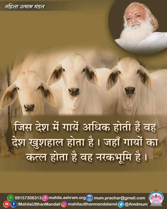 @rishivohra20 Sant Shri Asharamji Bapu -
#गौसेवा_की_महिमा शास्त्रों ने गाई हैं 
गाय, गंगा और गीता यह सनातन संस्कृति के मूल हैं।
Hamara Kartavya है Save cows , save Ganga and learn spread the knowledge of भगवत् गीता