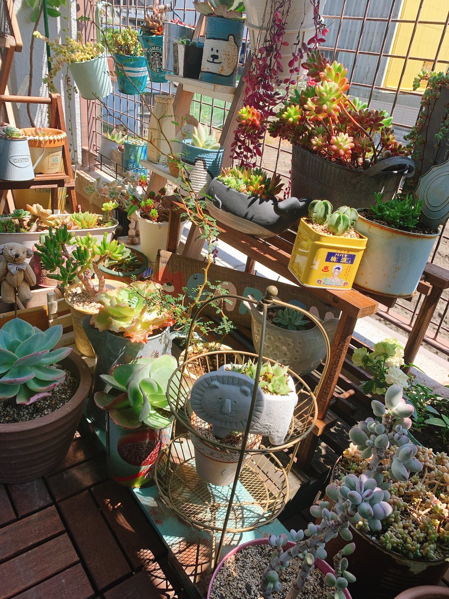 ぽぽ Poposan080 Twitter