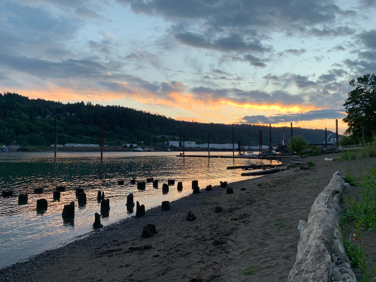 This is what we refer to as a mediocre sunset in PDX. 

By the way still looking for a postdoc to join <a href="/CostaNeuroLab/">CostaLab</a>. If you enjoy sunsets, neurons, and reinforcement learning DM me or get in touch via email.