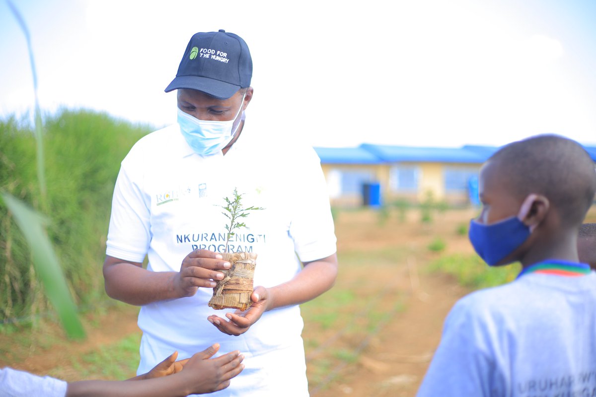 AdrresOrg's tweet photo. Students demonstrated how they graft Mangoes in the school of tree and produced environmental friendly seedlings covers in under NKURANE N'IGITI Program. @RwandaForestry , @MujaJeanne, @RwandaEast, @gatjmv, @Rwanda_Edu, @RwandaAgri https://t.co/yMuRx5YFBs