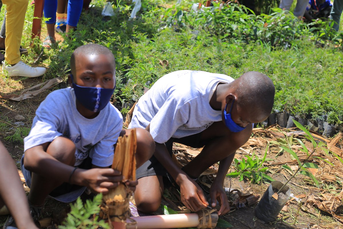 AdrresOrg's tweet photo. Students demonstrated how they graft Mangoes in the school of tree and produced environmental friendly seedlings covers in under NKURANE N'IGITI Program. @RwandaForestry , @MujaJeanne, @RwandaEast, @gatjmv, @Rwanda_Edu, @RwandaAgri https://t.co/yMuRx5YFBs