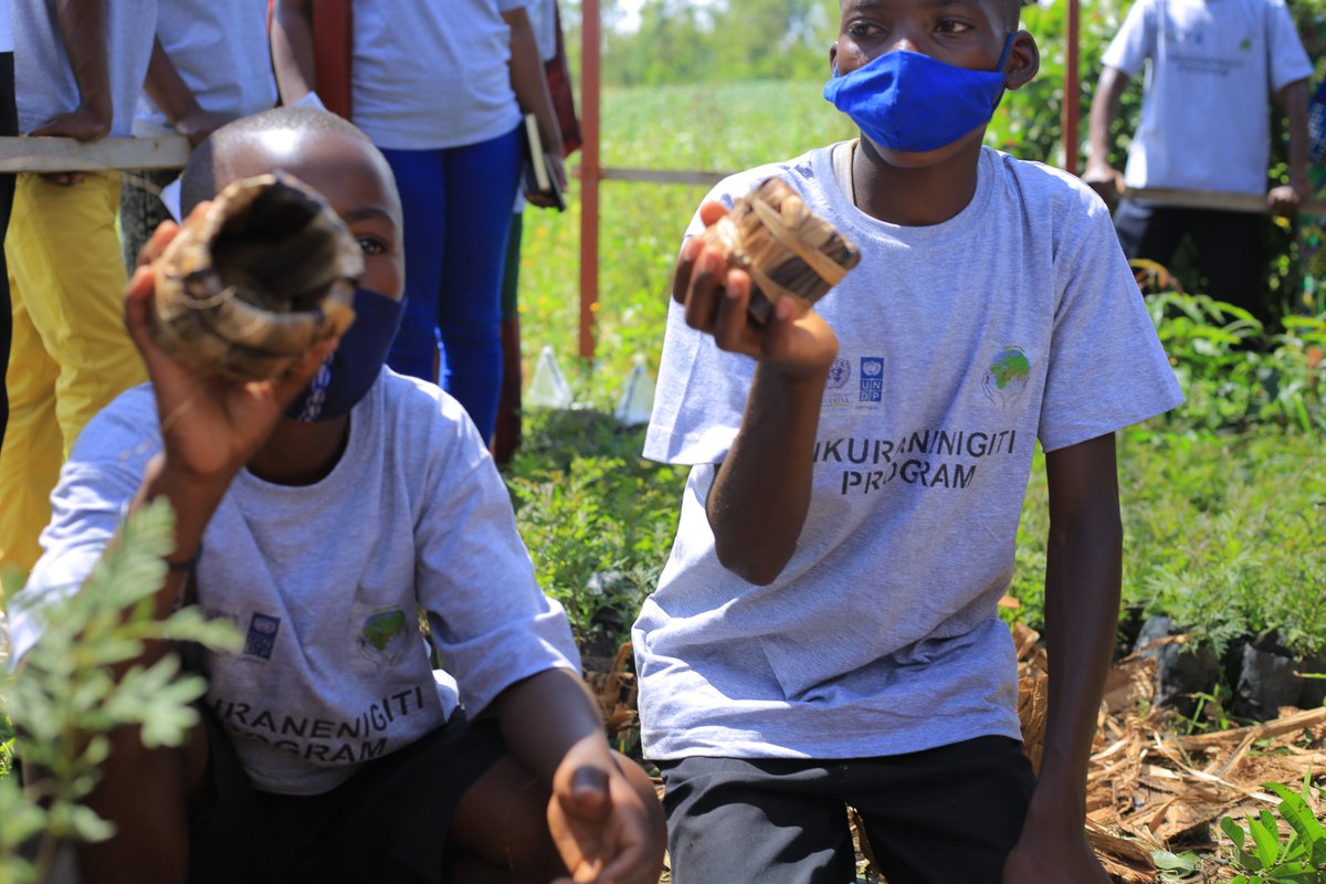 AdrresOrg's tweet photo. Students demonstrated how they graft Mangoes in the school of tree and produced environmental friendly seedlings covers in under NKURANE N'IGITI Program. @RwandaForestry , @MujaJeanne, @RwandaEast, @gatjmv, @Rwanda_Edu, @RwandaAgri https://t.co/yMuRx5YFBs
