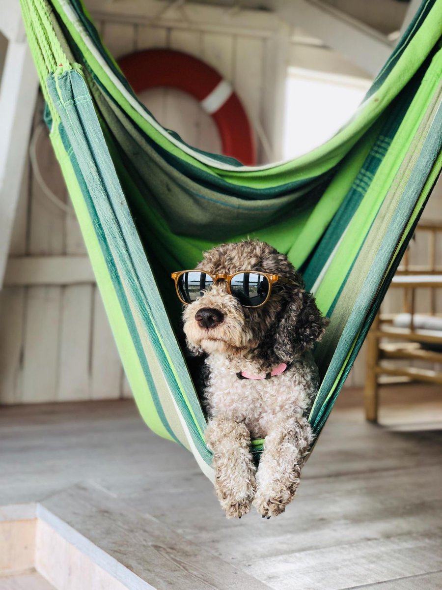 100WeekSprint's tweet photo. Two things to do before your summer experience begins https://t.co/cQGgal4Ahx https://t.co/5D641u9zVC