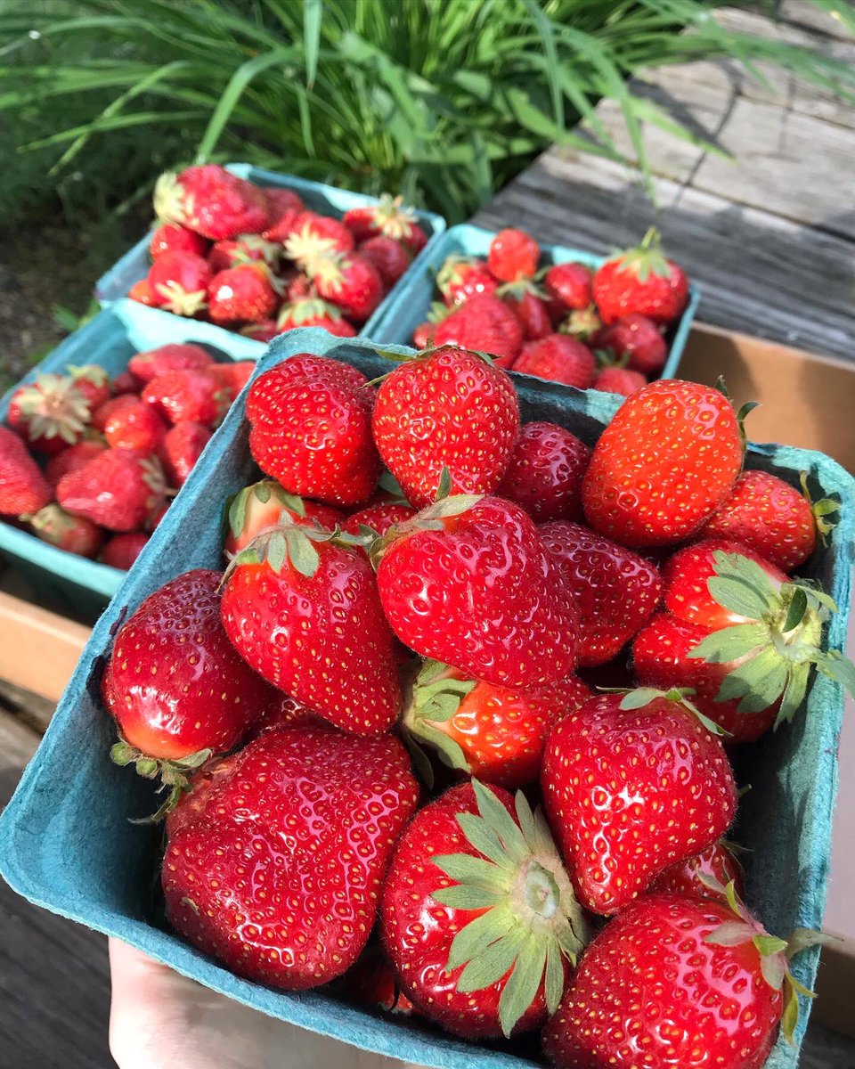 Heather Gray tweet media