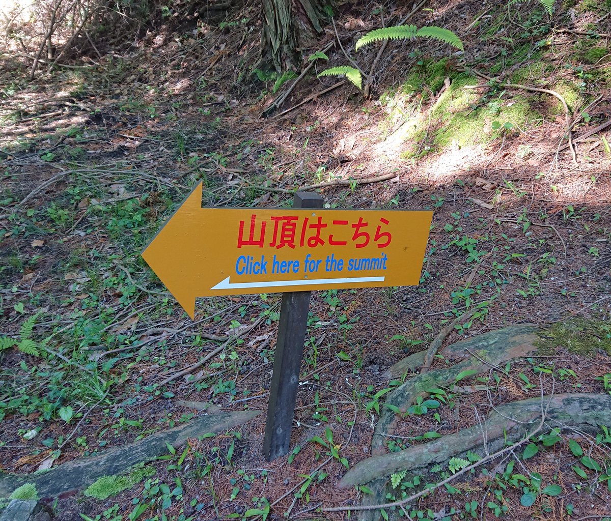 何故そんなことに 山頂はこちら の看板に書かれた英語案内 いくらなんでもひどい 謎の意訳 Togetter