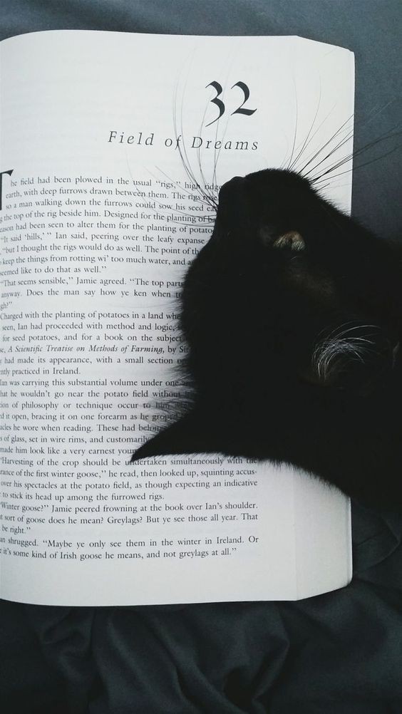 Lilith.. can you let me read please?