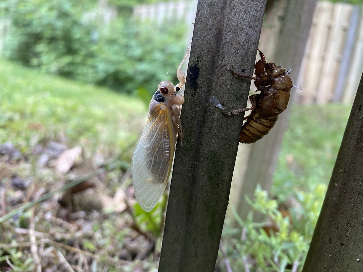 Christine Sweigart tweet media