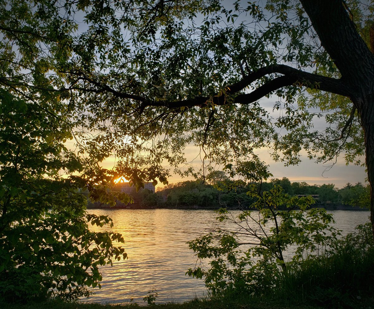 Robichaud_c's tweet image. "Little flowers blooming
The little birds keep singin' tune"
#SpringOrSummer
#Montreal
#BeforeTheRain
#TheStones