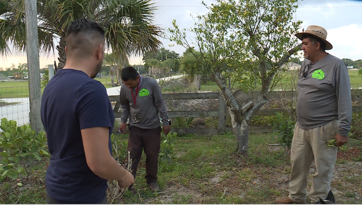 JoshNavarroTV's tweet photo. Tonight we’ll hear from a Fellsmere family who lives right next to the state park where the Tree Frog Wildfire was fast approaching. @WPTV https://t.co/TvLfP8jx3S