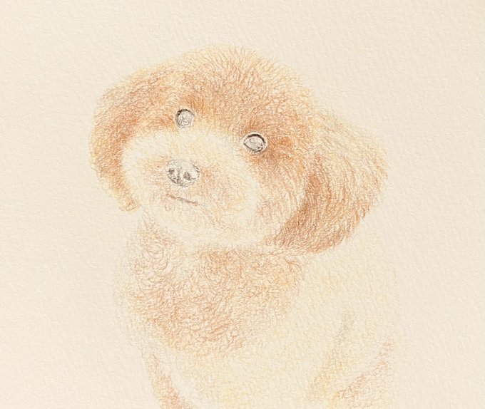 ワンちゃん 高画質 のtwitterイラスト検索結果 古い順 ワンちゃん 高画質 のtwitterイラスト検索結果 古い順