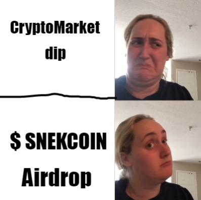 GabrielMulet1's tweet photo. @AriiDSantos @CarmelaTejada2 
#SNEKCOIN #Airdrop #SOL https://t.co/2ihYaSKGxC