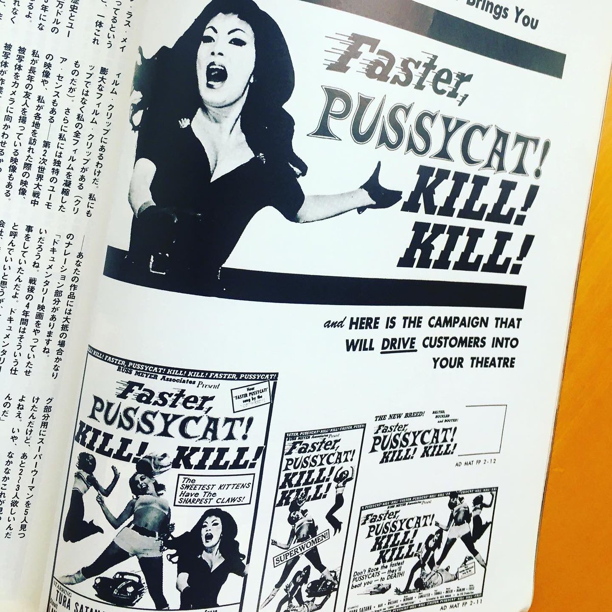 ファスタープッシーキャットキルキル