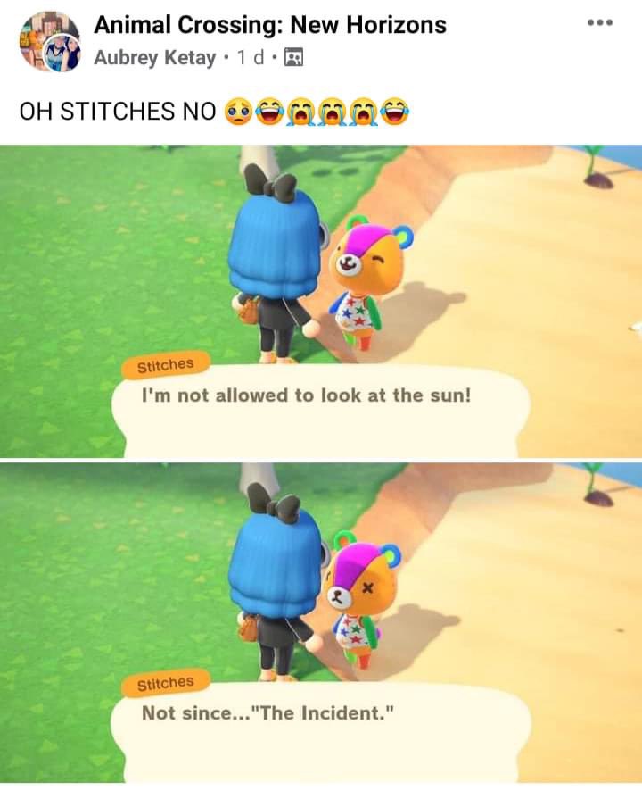 10 Animal Crossing New Horizons Memes That Sum Up How We, 59 OFF