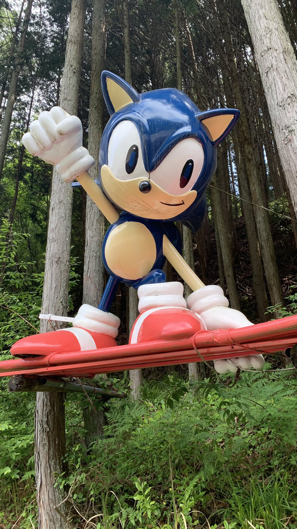 Zonic ゾニック Zonic Twitter