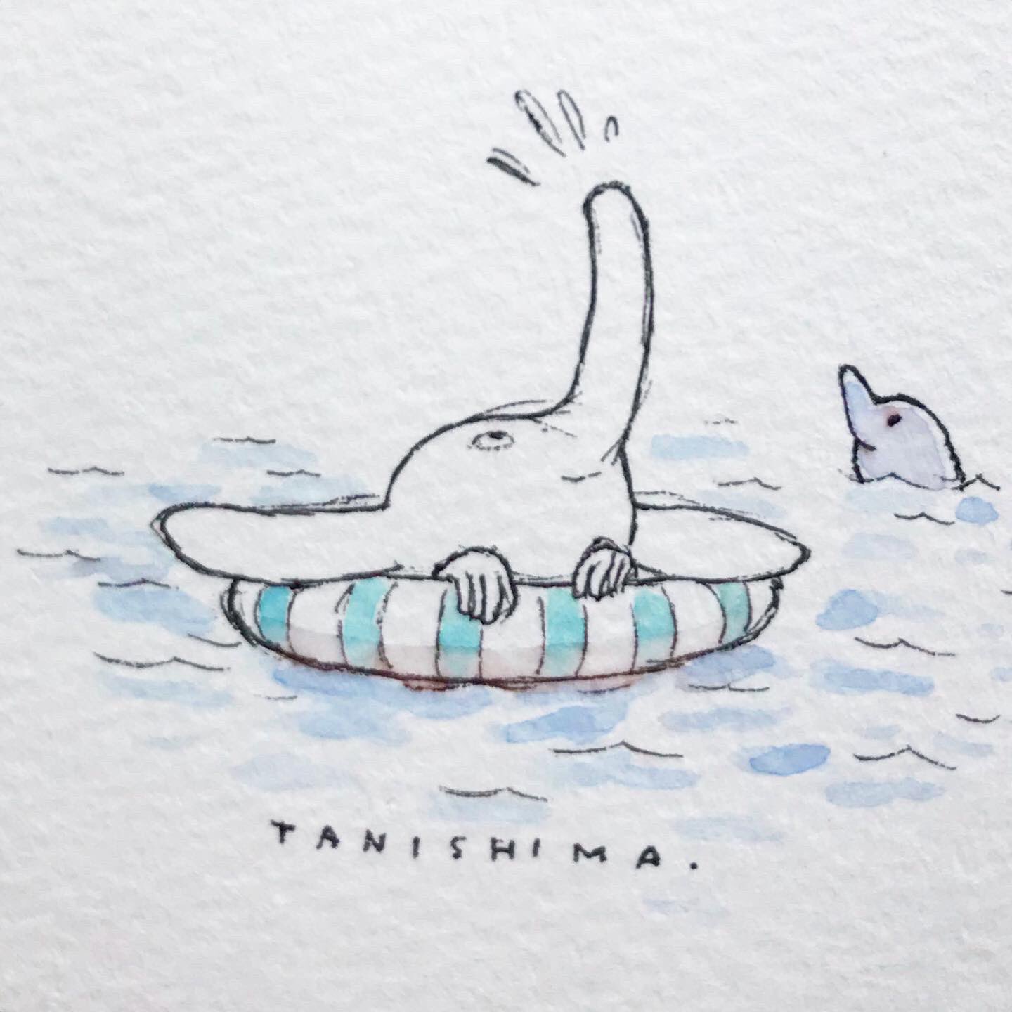 Tanishima 今年は海 行けるといいな ゾウ 夏 イルカ Elefant Sea Summer Dolphin 谷縞 イラスト キャラクター アート ペン画 ボールペン 水彩 Tanishima Drawing Pendrawing Illustration Art Ballpen Pilotballpen Hitecc
