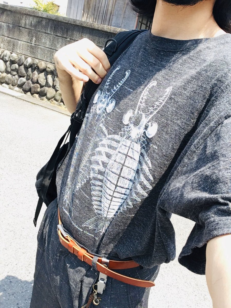 @mantisboy2 ブラックは普通に黒でヘザーブラックがこんな感じのグレーみのある感じになっております。残りはわたしがサンプルを持っていないのですがこちらなど参考になります。https://t.co/09x6WJLjFx 