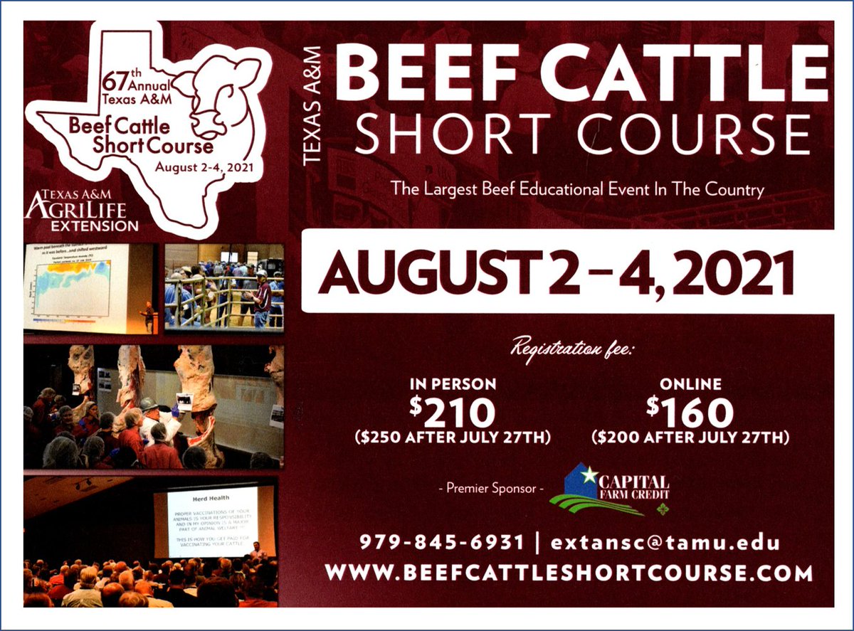 STPRA1's tweet photo. Upcoming Event: TAMU Beef Cattle Short Course 
August 2 - 4, 2021
College Station, TX - In Person &amp; Online

"...recognized as the largest attended beef cattle educational program of its type in the world." 

#cattleraisers #texas #ranch #farmandranch https://t.co/g1Zvhm3IPB