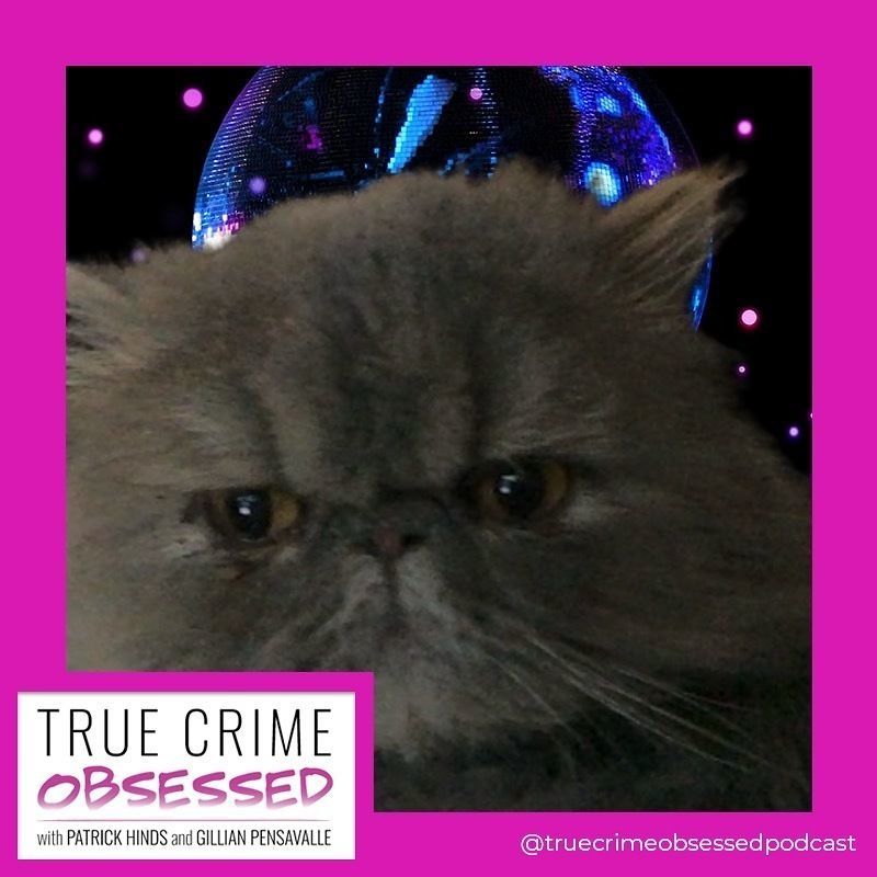 TrueCrimeObsess's tweet photo. The furry friends of #TCOLive were living their BEST lives on Thursday night!! Swipe through to see some of our favorite, red-carpet-ready TCO pets. πΆππ± https://t.co/kIHPcOG6ai