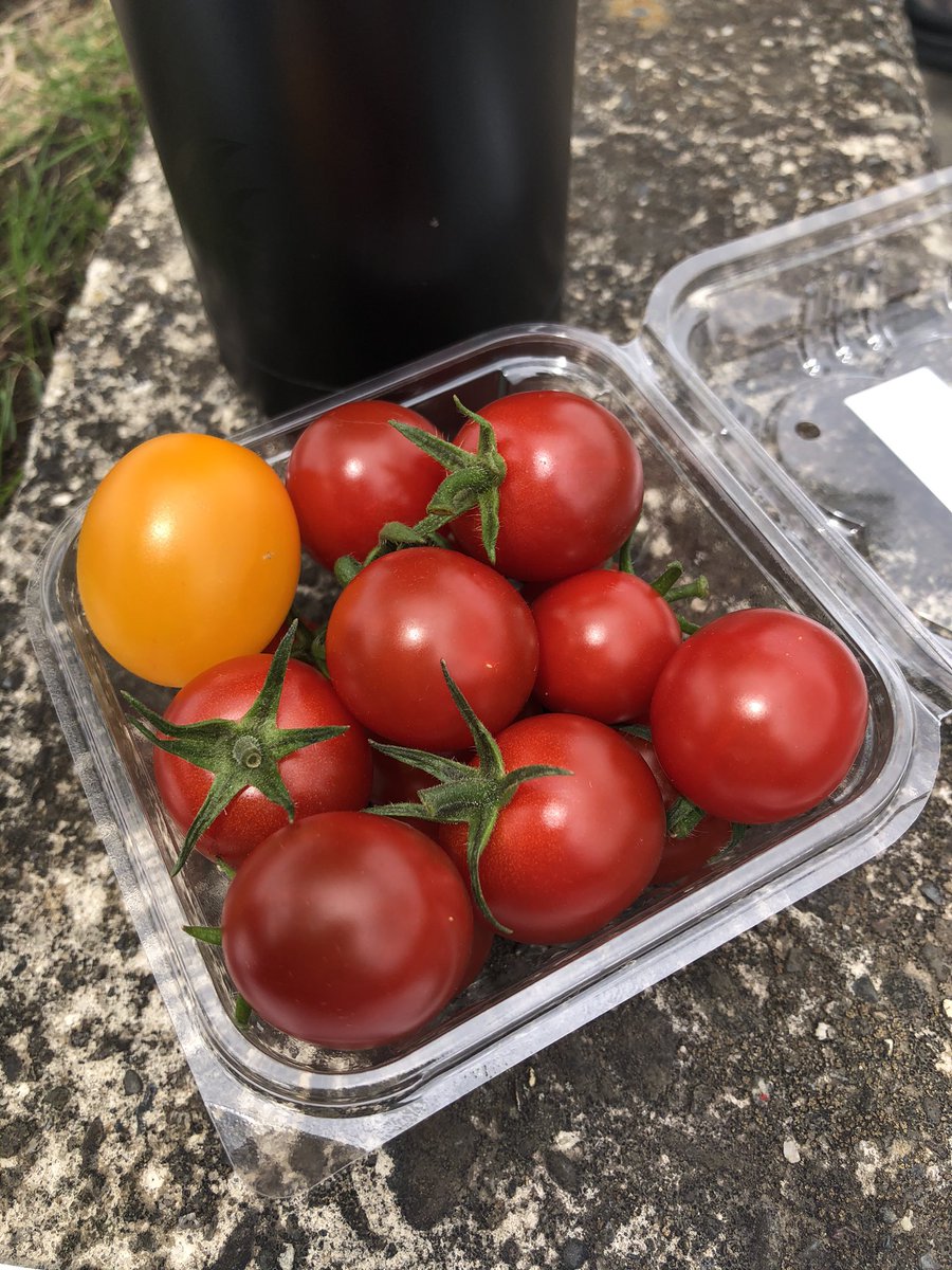 kobamiku's tweet photo. あめ〜🍅うめ〜 #dropfarm #水戸ホーリーホック https://t.co/w9VeExgnHg