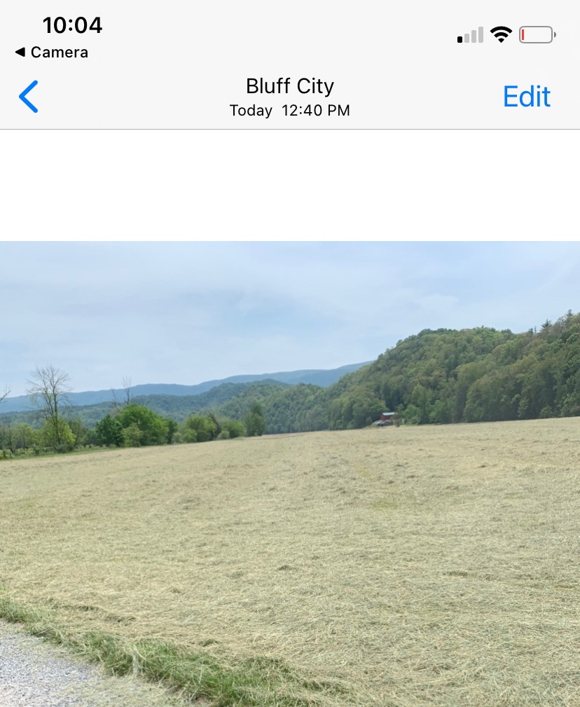 Amy Scott tweet media