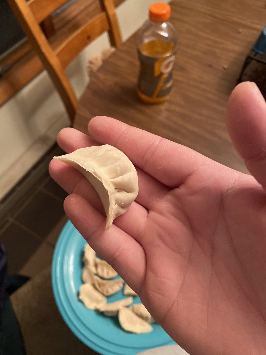 _harleeyy's tweet photo. @BingingWBabish bab. I followed your recipe (replacing pork with chicken) &amp; I made gyoza!!!!!! Look at my perty little dumplins https://t.co/KbjHfXESVA