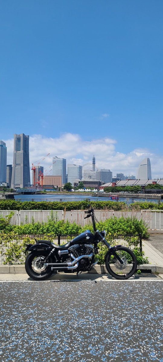 Yu_dwg's tweet photo. 暑い☀️ https://t.co/64MDI8lcHC