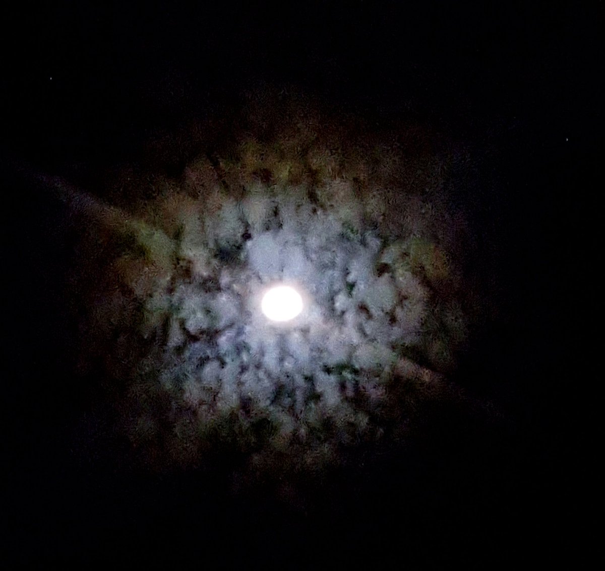 MissMommapeach's tweet photo. #Moonlight 
#CelestialEye https://t.co/nCw2UXw2Ol