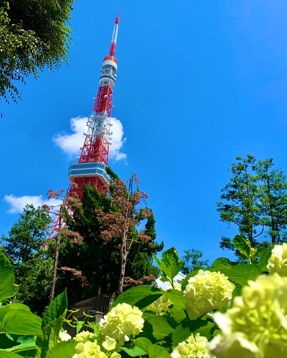 xnydna's tweet photo. 久々の青空☀️

やっぱり気持ち良いなぁ。。。

と、言う事で？朝からお散歩来てます🗼💕

#東京タワー https://t.co/aueIm1mfhT