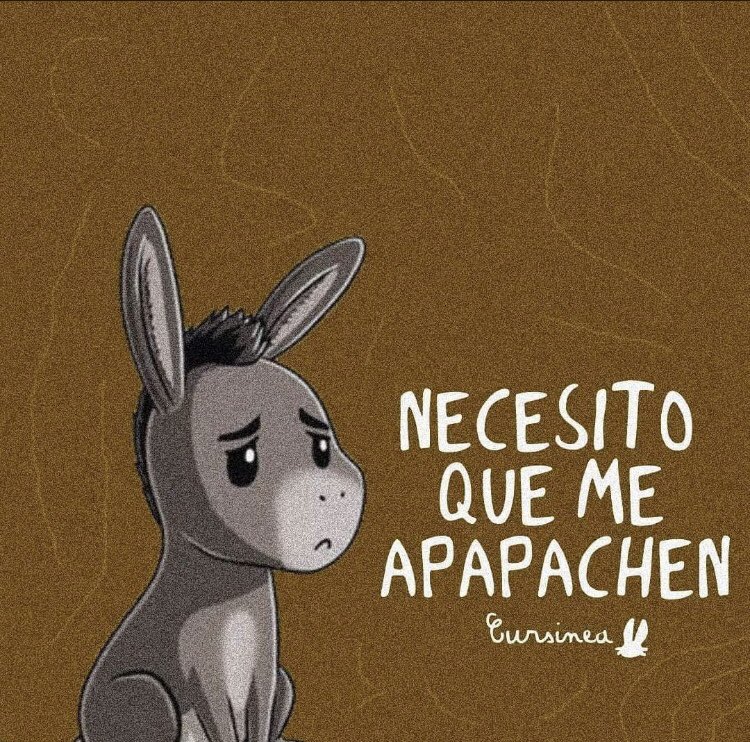 versotica's tweet photo. mood https://t.co/pba887fPZo