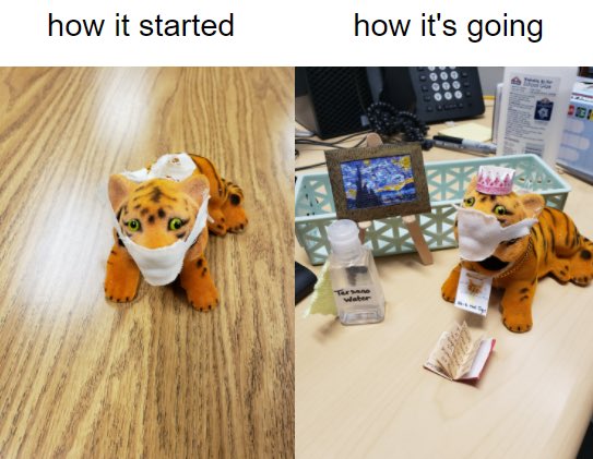 ❤️ how @BAHSTigers staff kept Ollie the Tiger moving (& gaining props) as they nominated the next staff member to get him in 2021! It all began with giving him a mask...then an ID, his own book, sanitizer & cloth, art, easel, & crown. 🖤💛🖤💛 #Culture #BATID @BASchools