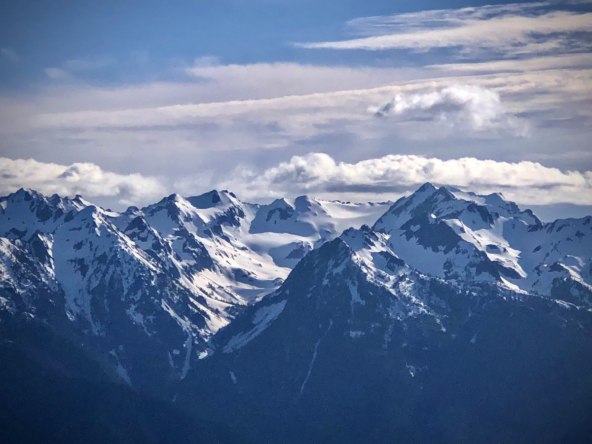 Momidriver tweet media