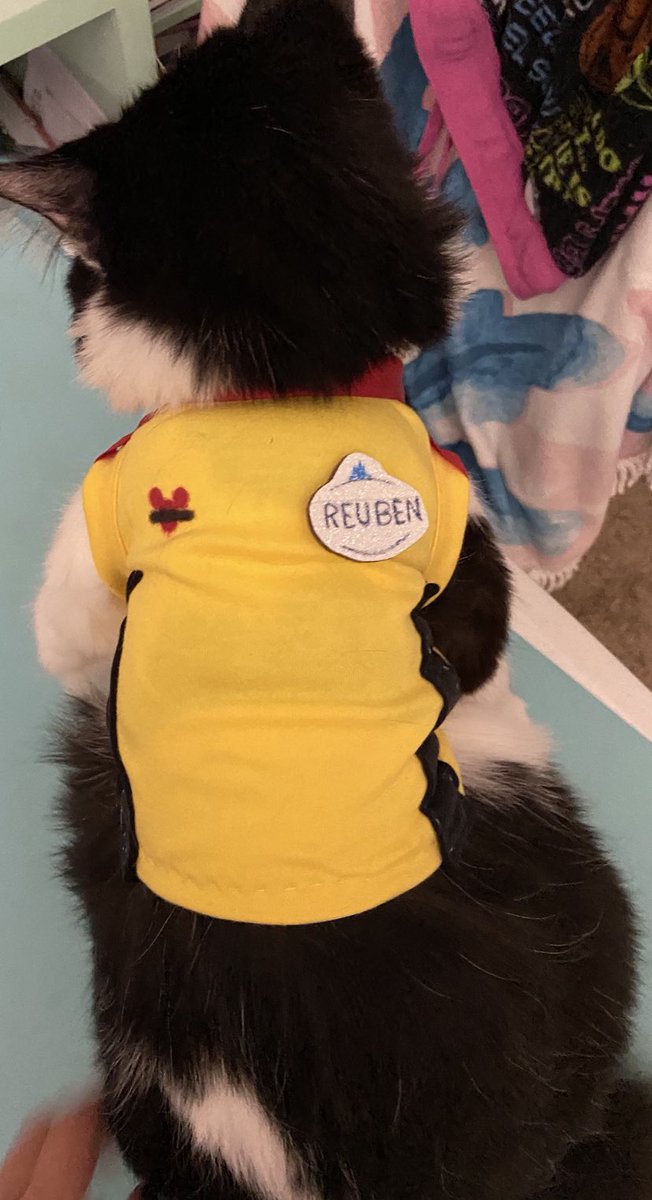 TheDaniDiary's tweet photo. Reuben is ready to host poolside activities! I wouldn’t trust him with campfire though...too many marshmallows! #disneysidecast #disneyside #wdw #recreation #castmembers #disneypet https://t.co/mps6UkMNjF