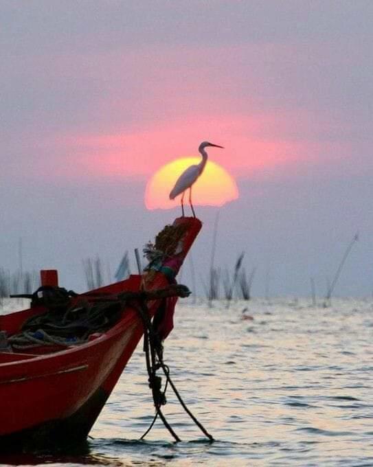 mary_veas1's tweet photo. @vikasknirmal @maype7 @filipem31892548 @eoff_sylvia @SKID1144 @krosen_nw @CiCi58494086 @Marietta117 @IzabelleCova @Alexa17101614 @Bighearts6 @Billy_harvest @DollyDemeli @sywnps @GreyAki @evasurga @encarnacion67 @Angel_Stockler @JOLOSO1960 @HassCho @chyasir131 @laddi_kaur @Autorin24Sandra @MariaDe82808101 @NajHussain3 @HumbleIndian @BarryHall9 @jbartelt @andrespeneke @keikalin020460 @MaldonadoMerche @andrea_ilrga @TravelNews18 @ladevita12 @leilasbsantos @a_zicc @leggioluciano @Soul_Serenity8 @PardueSuzanne @L_Roshchina @smc_su @pamelllar @AngelaVillani9 @747flyboytim @dorothy_ireland #GoodMorningEveryone 
#GoodDayVikas
#StayAtPeace https://t.co/gOVsFF8ooU