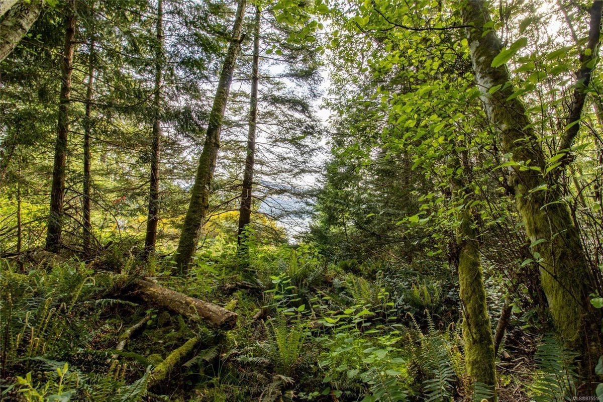 Dockside Realty tweet media