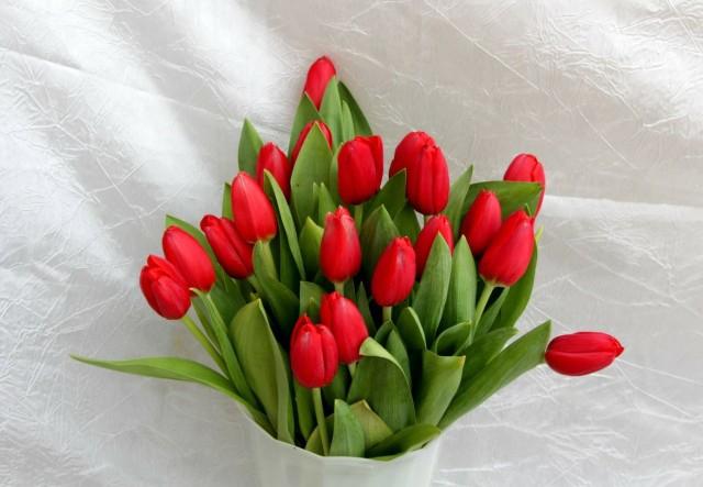 amuljoshi27's tweet photo. @Cate_English Have a wonderful day ahead 😊. https://t.co/OHFZlMm7wt