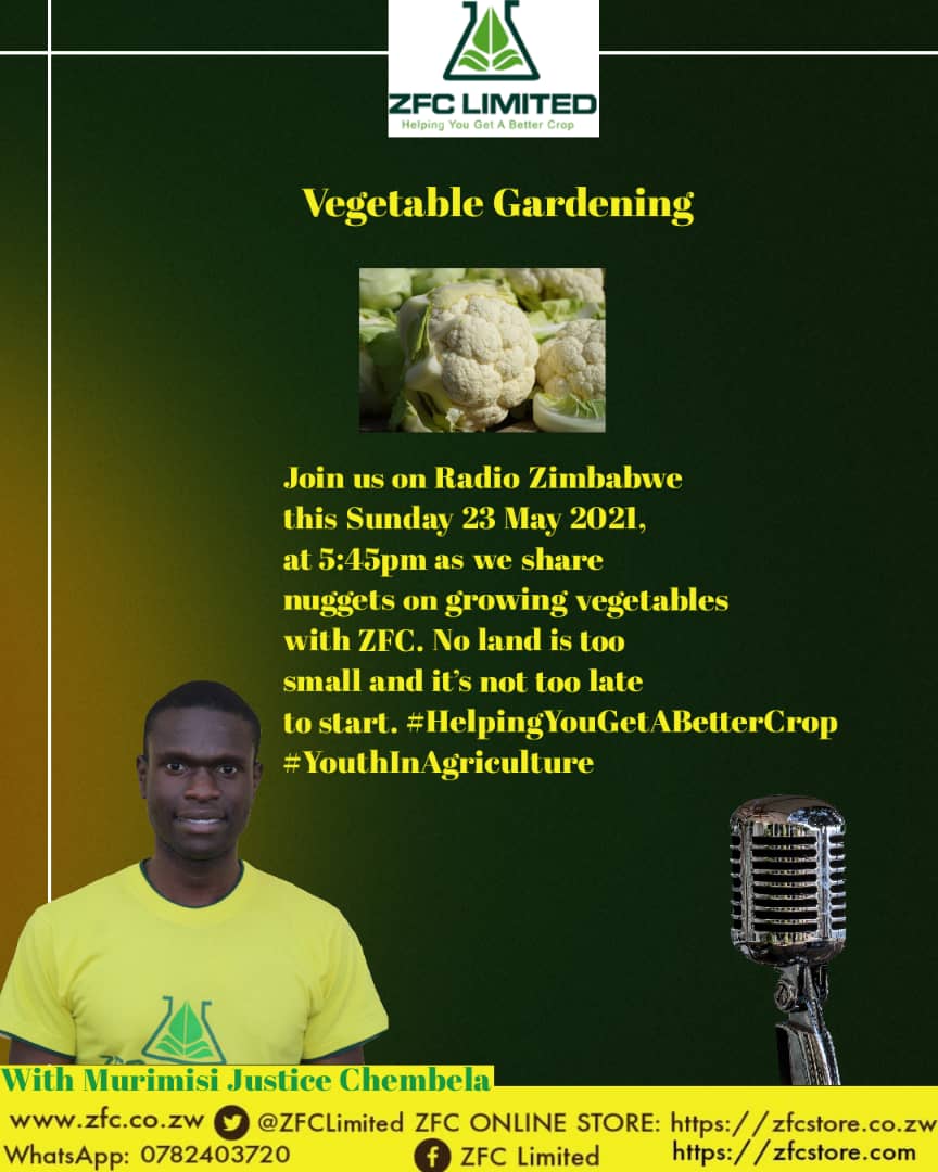 No land is too small and it is never too late to start. Join Murimisi  <a href="/ChembelaJustice/">Justice Chembela</a> this evening. Growing vegetables with ZFC. 
"Making Agriculture attractive to the youth"  -  Tamara H. Kaunda