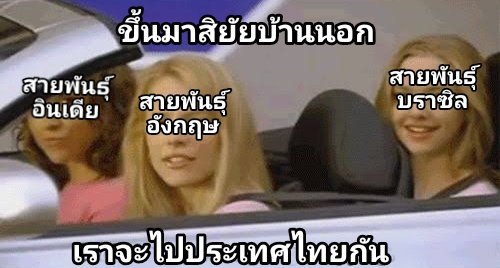 Momy lll( ᐛ ): foxxo taru brainrot tweet media