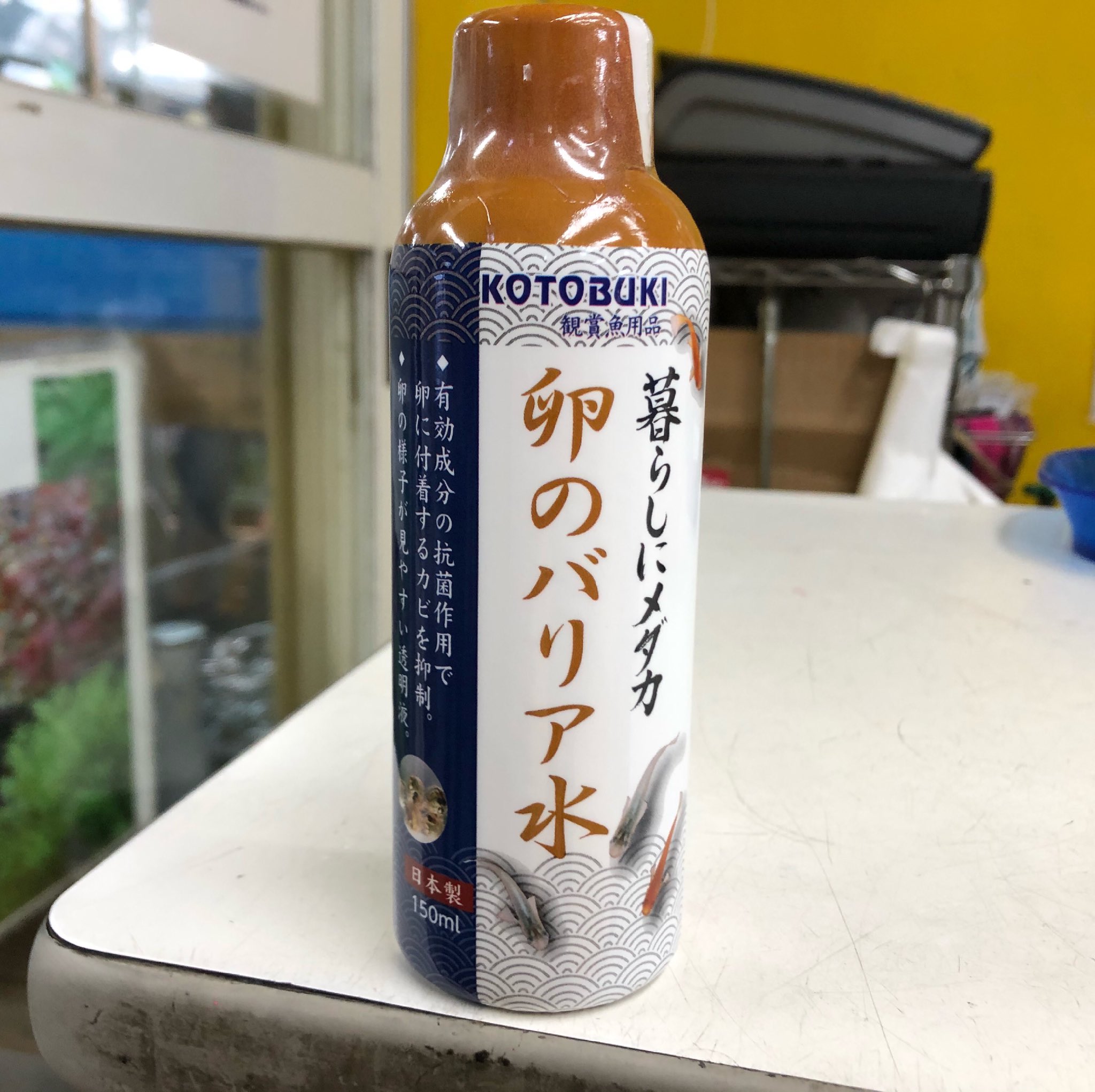 斧田観賞魚センター メチレンブルー難民に朗報 新商品が入荷致しました 卵のバリア水 メダカの無精卵をカビから守りたい方に 私も家のメダカに試したいと思います 斧田観賞魚センター メダカ めだか 卵のバリア水 コトブキ T Co