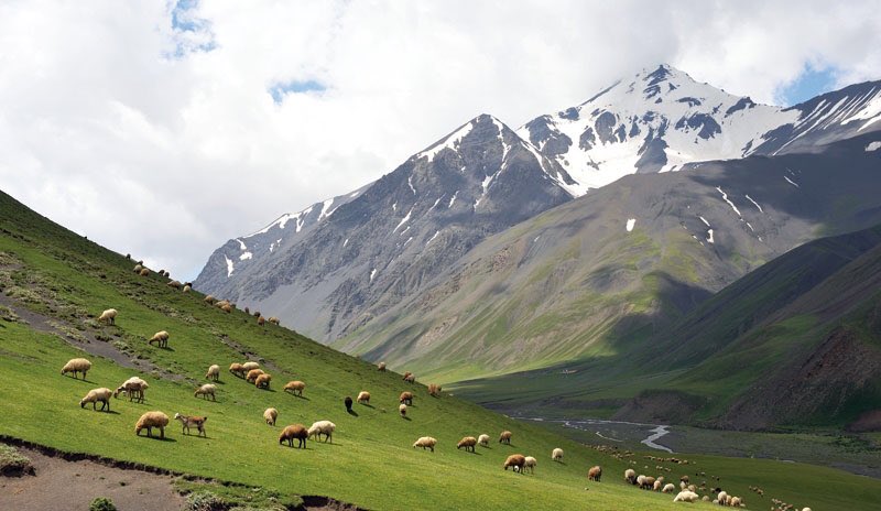 architectbahruz's tweet photo. “Zangezur National Park” is a national park of #Azerbaijan 🇦🇿. This #park is located in a mountainous area of #Ordubad District of the #Nakhchivan Autonomous Republic.
#nature #architecture https://t.co/hu4JBv4EES
