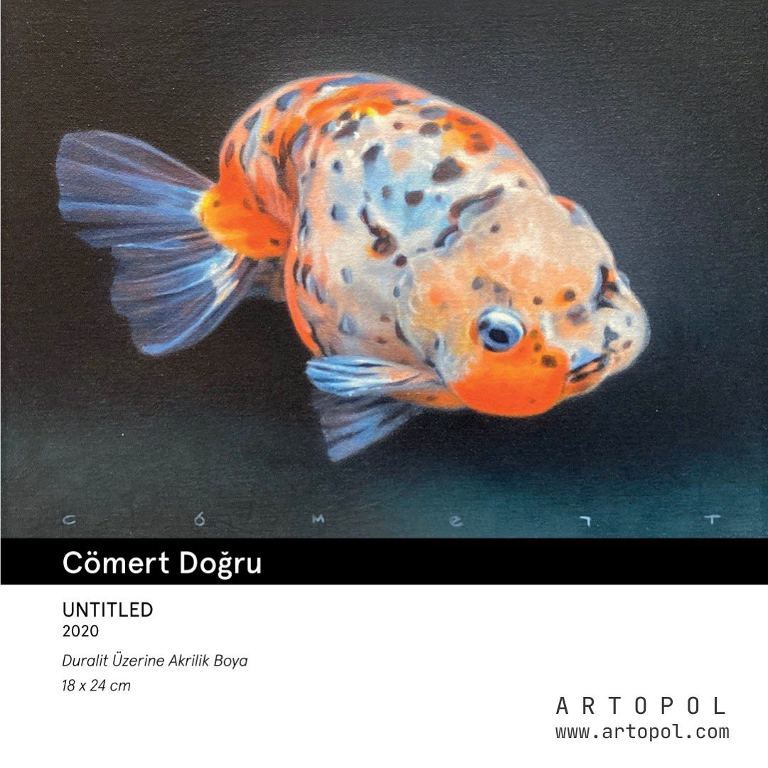 Contemporaryist's tweet photo. 15th edition of Contemporary Istanbul welcomes ARTOPOL. @artopol_gallery 

Cömert Doğru  “UNTITLED”

https://t.co/hS9BnileKb

#contemporaryistanbul #ci15th #ci2021 #comertdogru #artopol #artopolartgallery https://t.co/kb6nal65GE